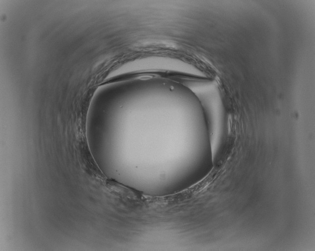 X0000076250965200610191645