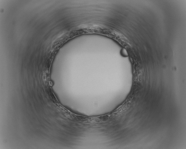 X0000076250966200610191645