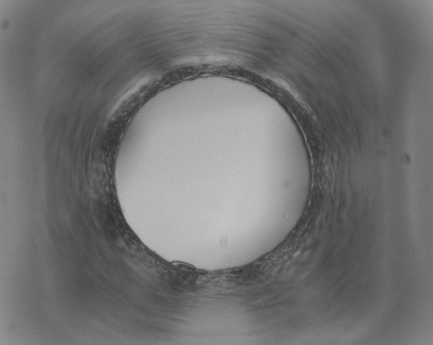 X0000076250967200610191645