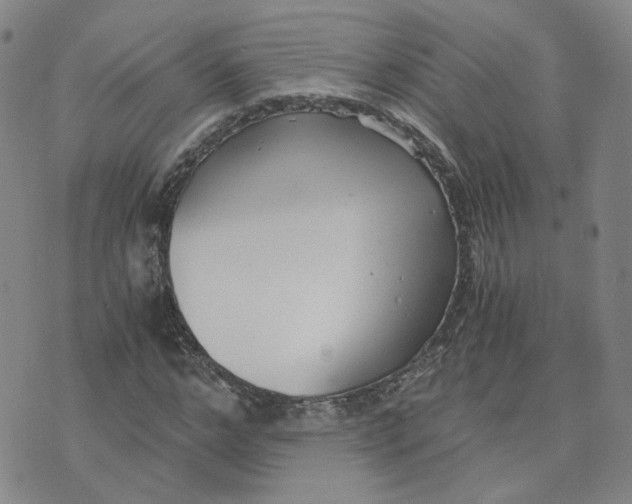 X0000076250968200610191645