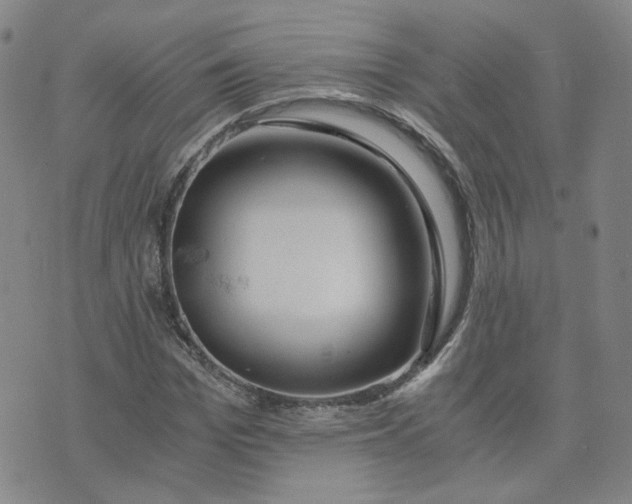 X0000076250969200610191645