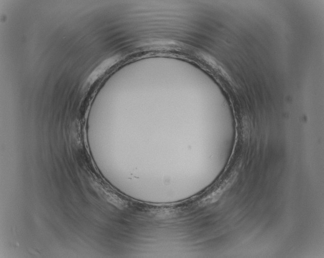 X0000076250970200610191645