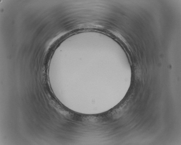 X0000076250971200610191645