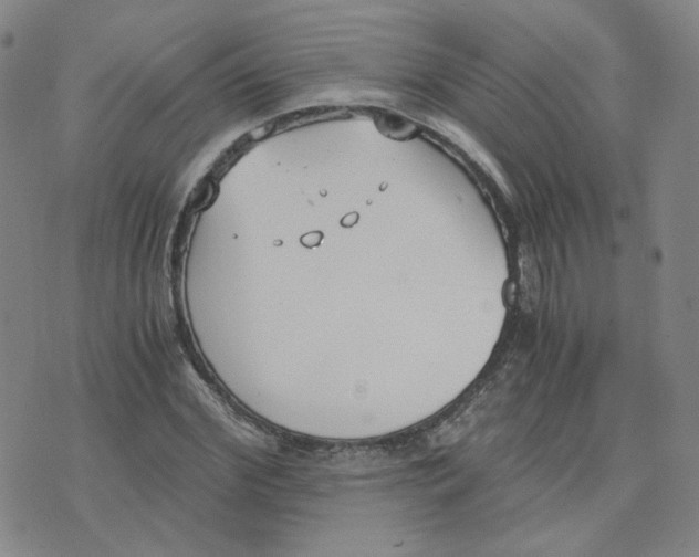 X0000076250972200610191644