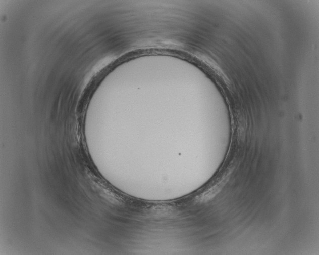 X0000076250974200610191644