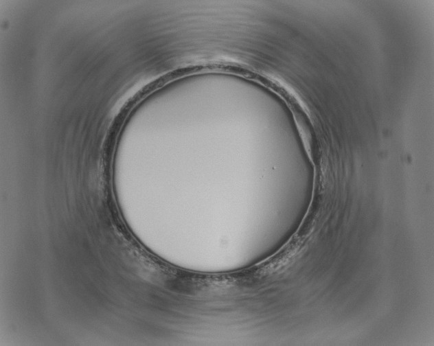 X0000076250975200610191644