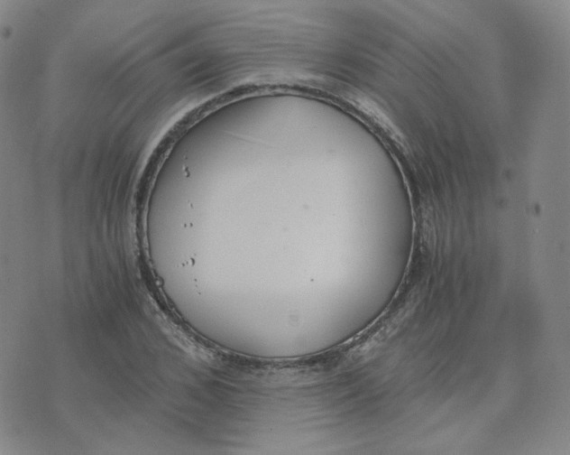 X0000076250976200610191644