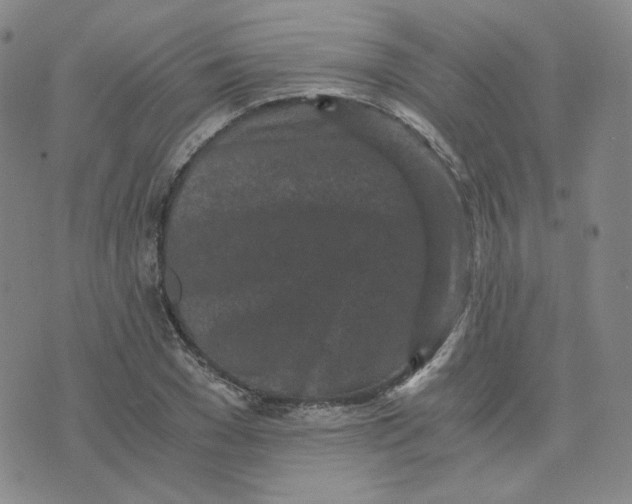 X0000076250977200610191644