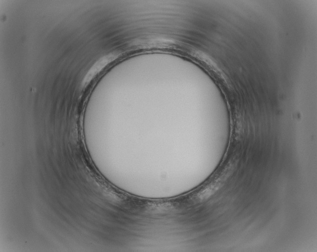 X0000076250978200610191644