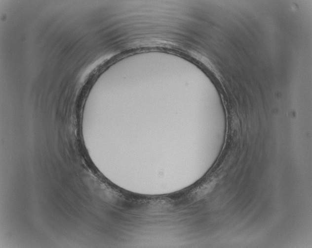 X0000076250979200610191644