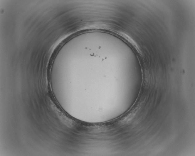 X0000076250980200610191644