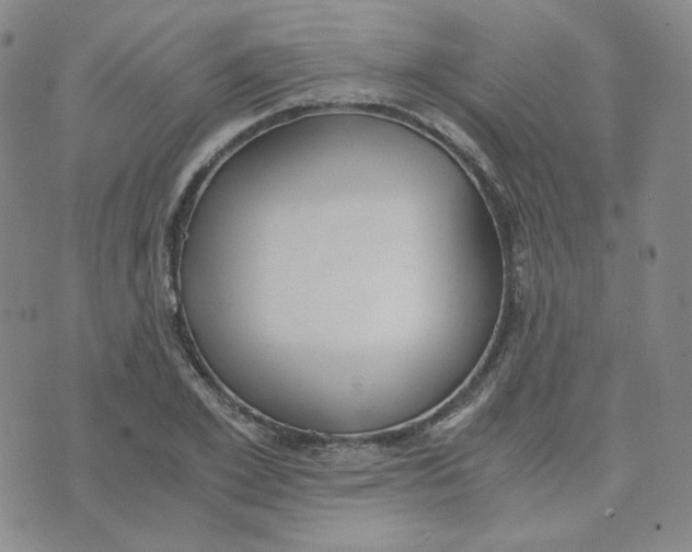 X0000076250981200610191644