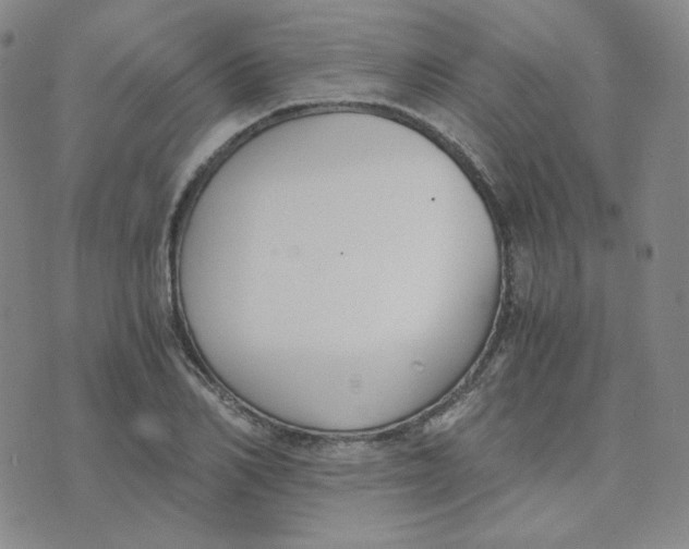 X0000076250982200610191644