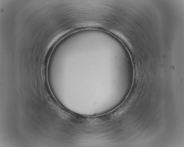 X0000076250983200610191644