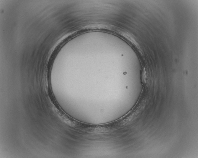 X0000076250984200610191644