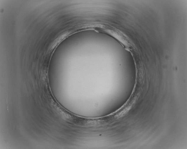 X0000076250985200610191644