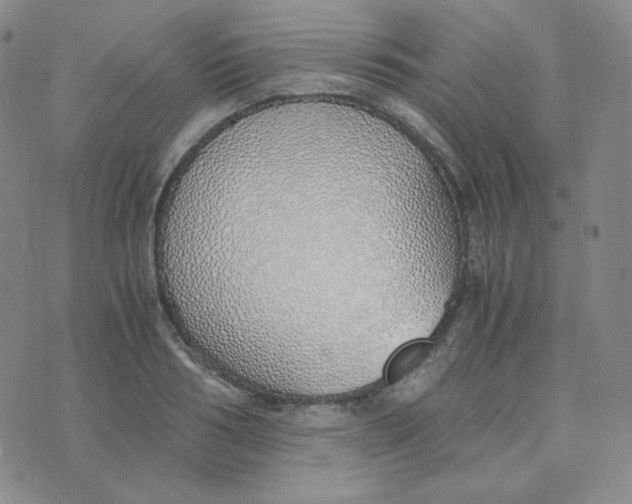 X0000076250986200610191644