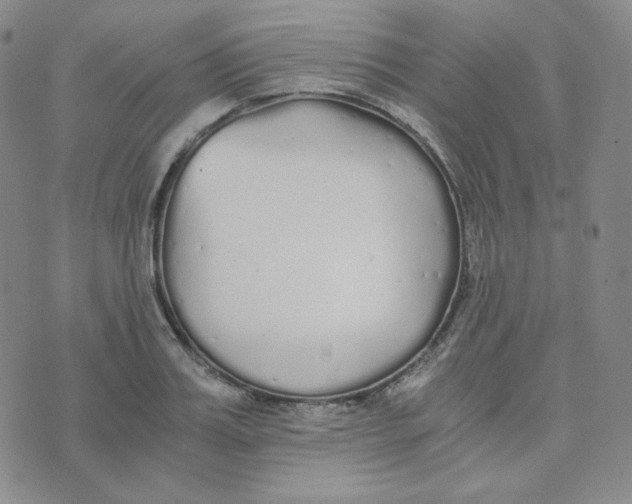 X0000076250987200610191644