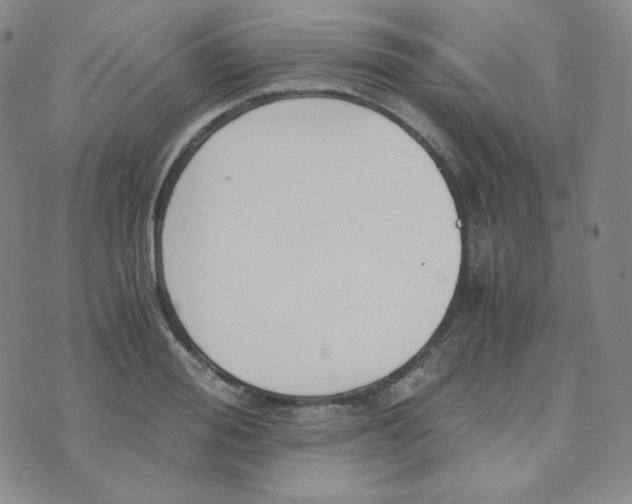 X0000076250988200610191644