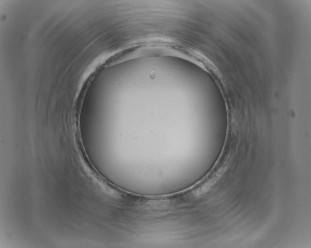 X0000076250989200610191644