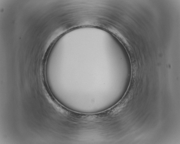 X0000076250991200610191644