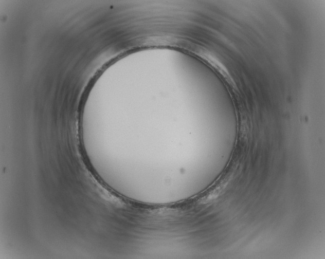 X0000076250992200610191644