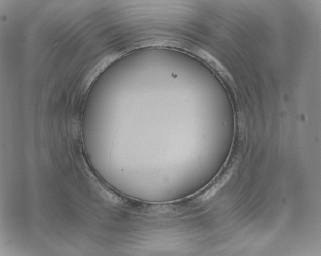 X0000076250993200610191644