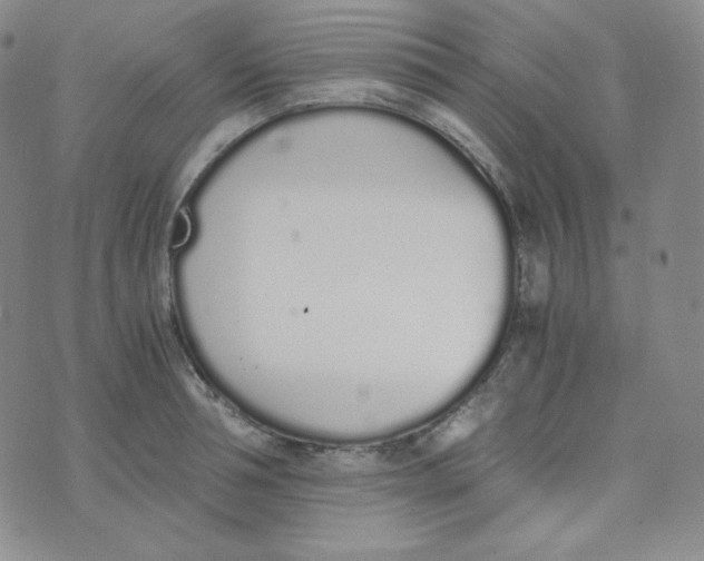 X0000076250994200610191644