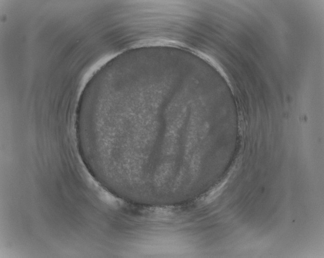 X0000076250995200610191644