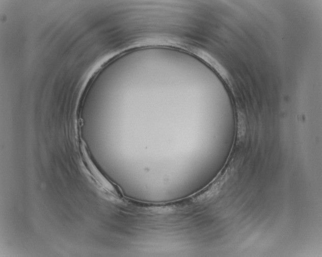 X0000076250996200610191644