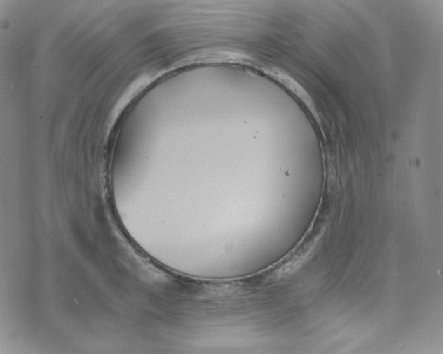 X0000076250997200610191644