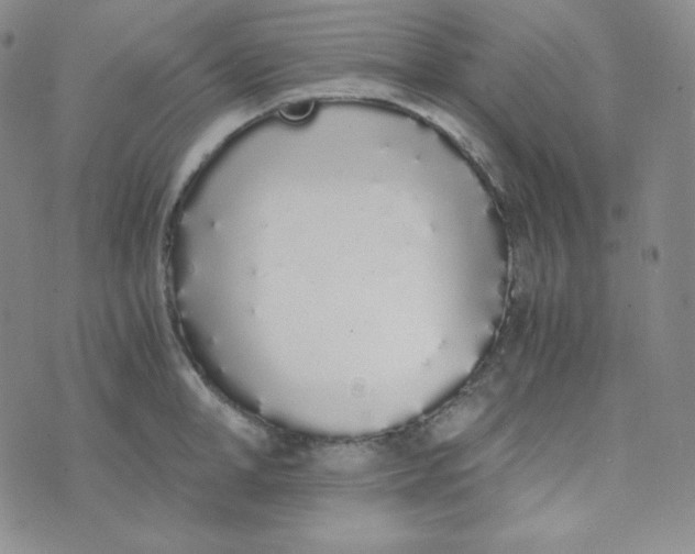 X0000076250998200610191644