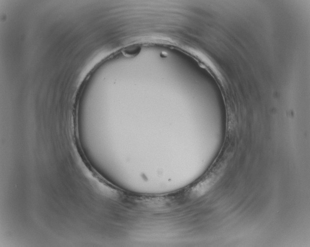 X0000076250999200610191644