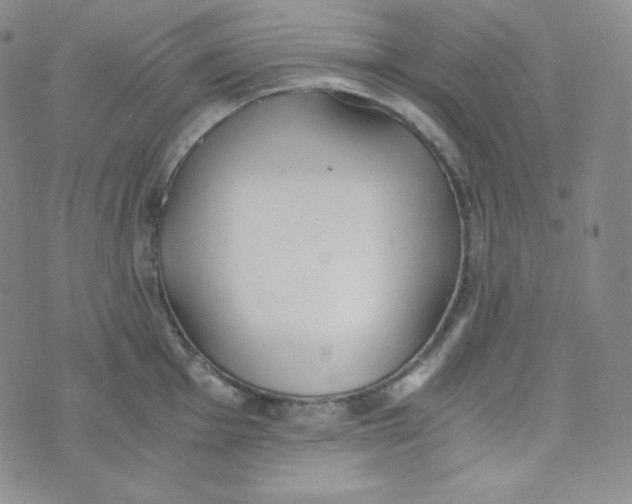 X0000076251001200610191644