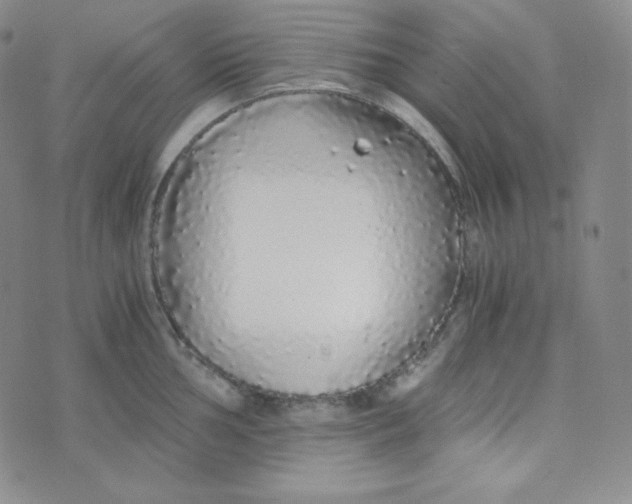 X0000076251002200610191644