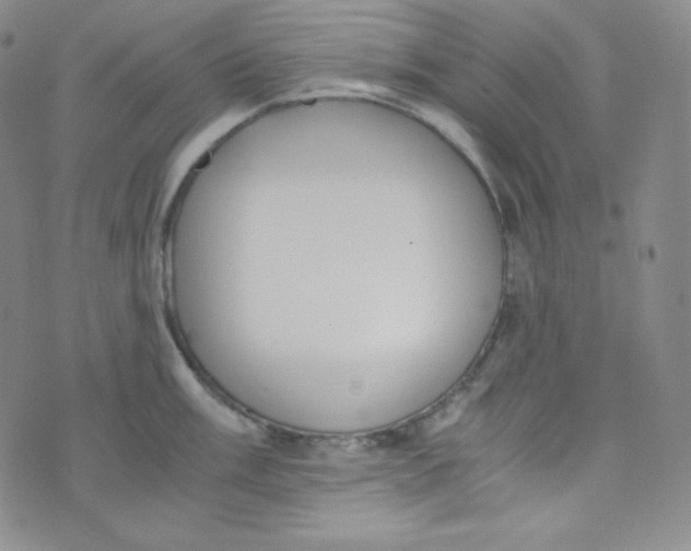 X0000076251003200610191644