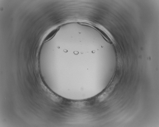 X0000076251004200610191644