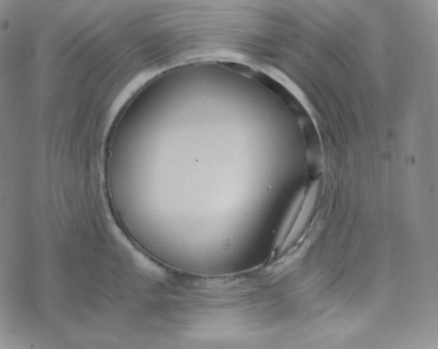 X0000076251005200610191644