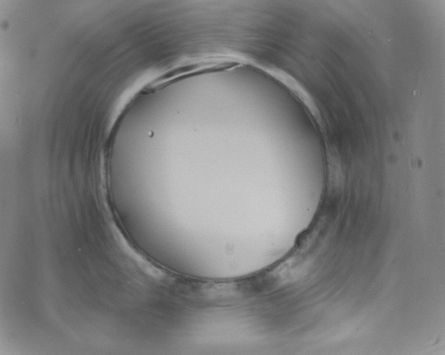 X0000076251006200610191644