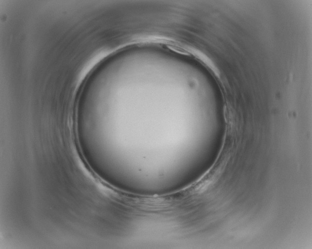 X0000076251007200610191644