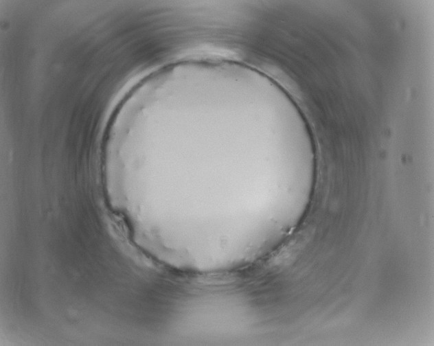 X0000076251008200610191644