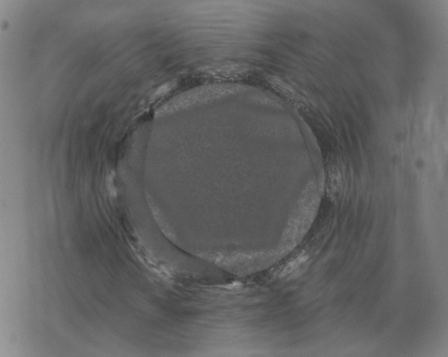 X0000076251010200610191643