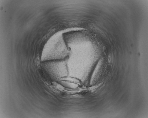 X0000076251011200610191643