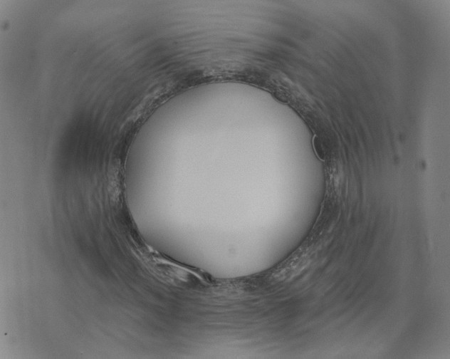 X0000076251012200610191643