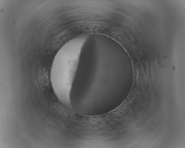 X0000076251013200610191643