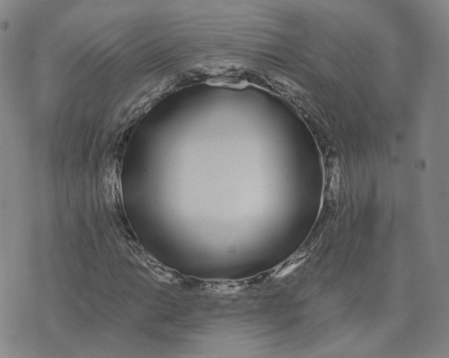 X0000076251014200610191643