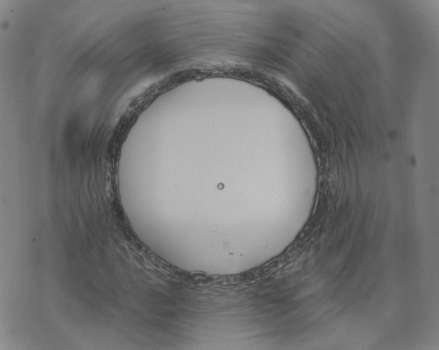 X0000076251016200610191643