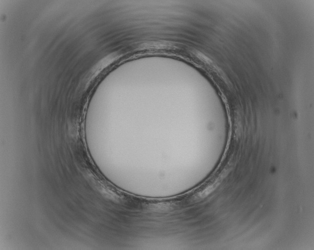 X0000076251017200610191643