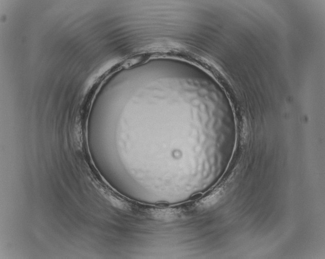 X0000076251018200610191643