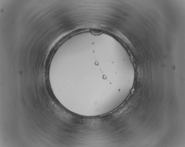 X0000076251020200610191643